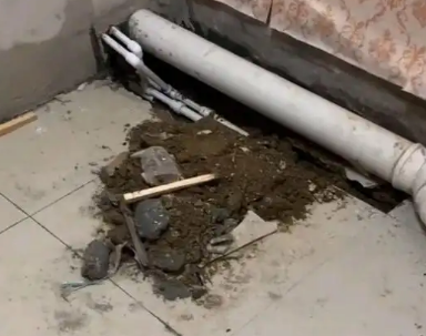 余庆卫生间漏水检测哪家好
